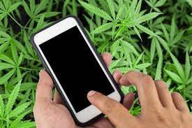 ordering weed online